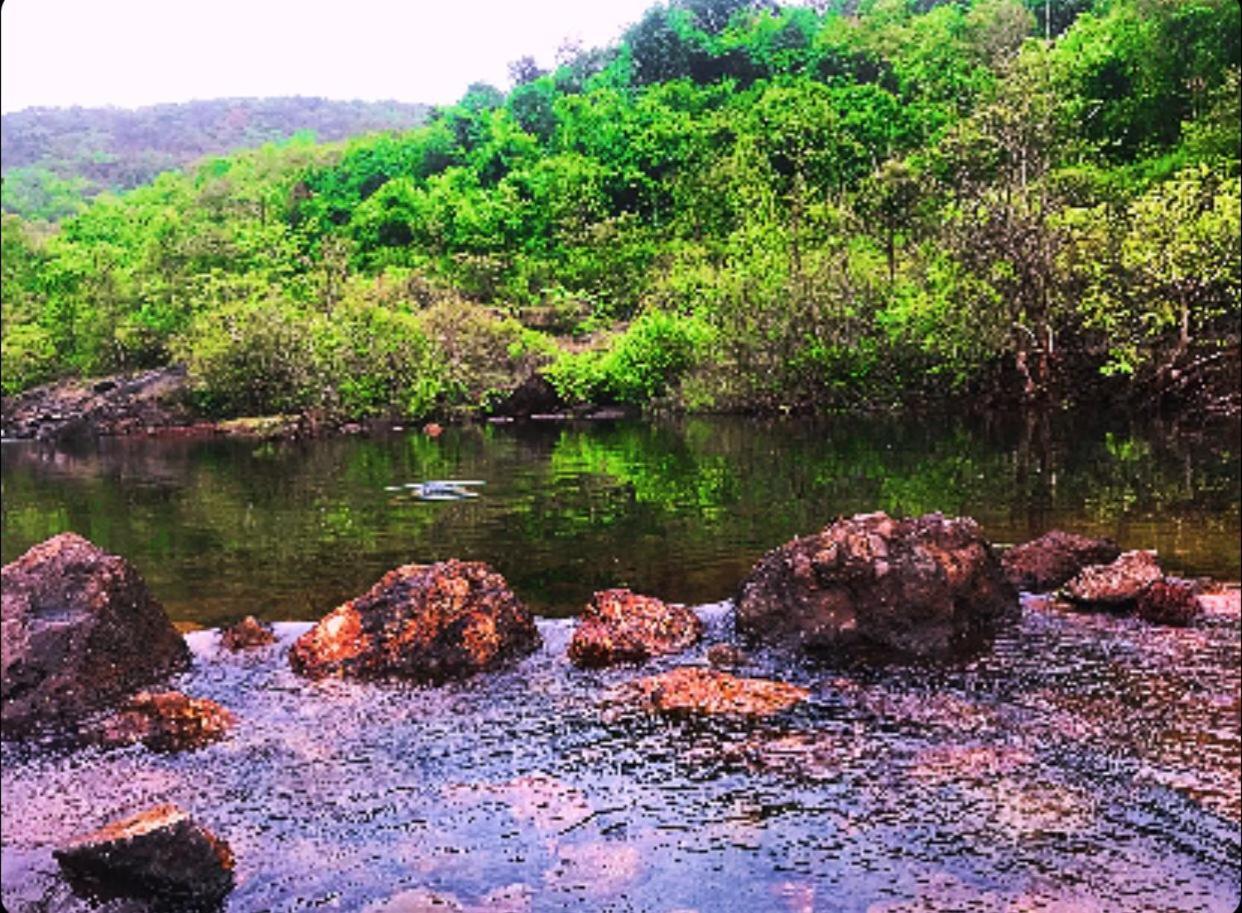 Rohan Homestay By Traviget Hospitality, Dapoli-Konkan Harnai Kültér fotó